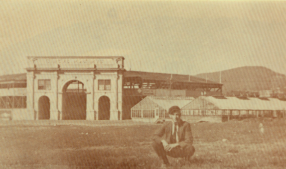 Picture of Circus Maximus