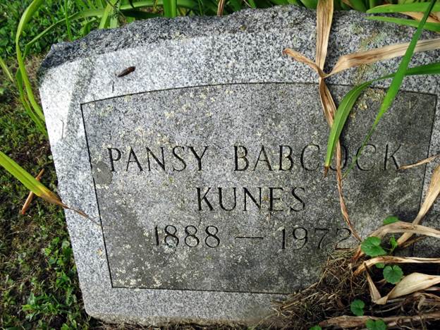 kunes babcock pansy.jpg