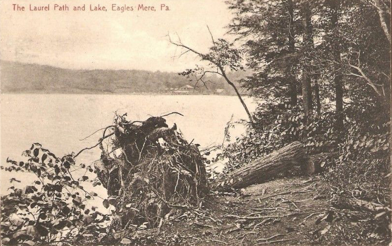 RPPC CANAAN LINE HOUSE VERMONT CANADA BORDR CARS REAL PHOTO POSTCARD (c.  1920s)