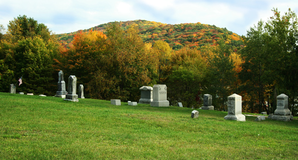 Overview of Riverview Cemetery