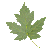 tinyleaf