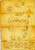 survey.jpg (93306 bytes)